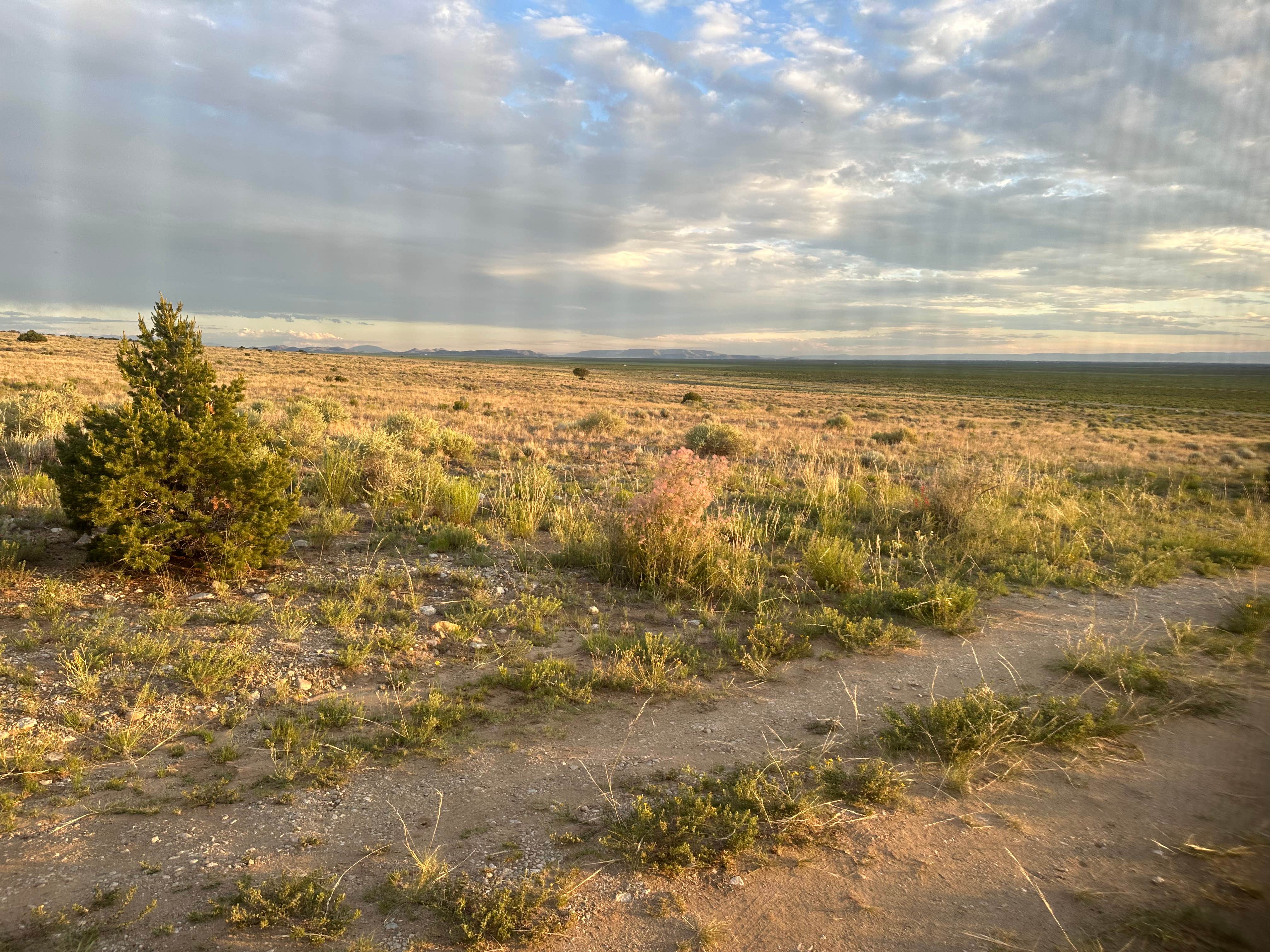 Camping near Dune Camp at the Great Sand Dunes National Park: BLM Near Great Sand Dunes Hwy 150, Blanca, Colorado