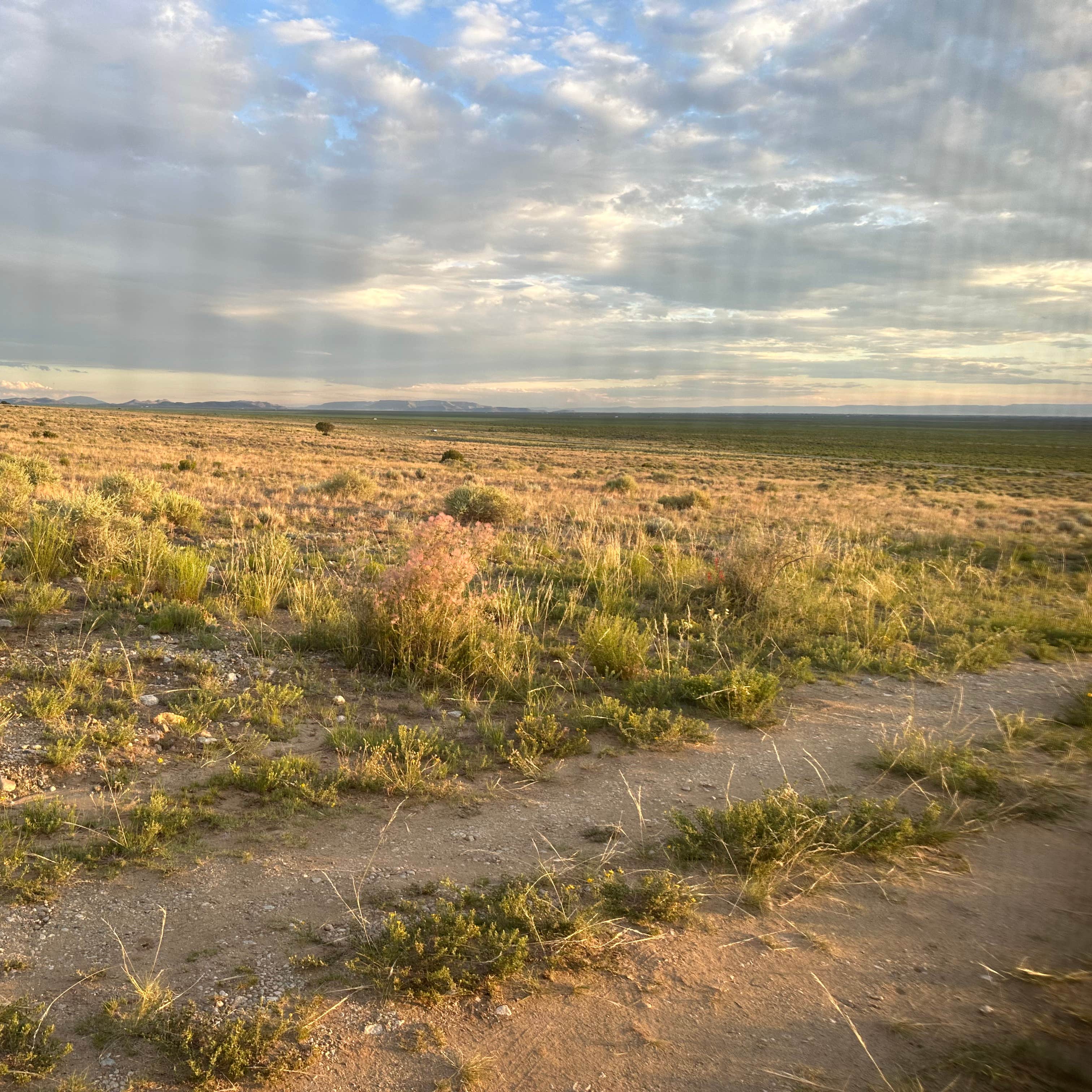 BLM Near Great Sand Dunes Hwy 150