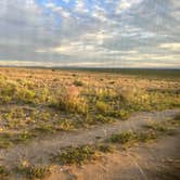 Review photo of BLM Near Great Sand Dunes Hwy 150 by Desiree C., June 26, 2024