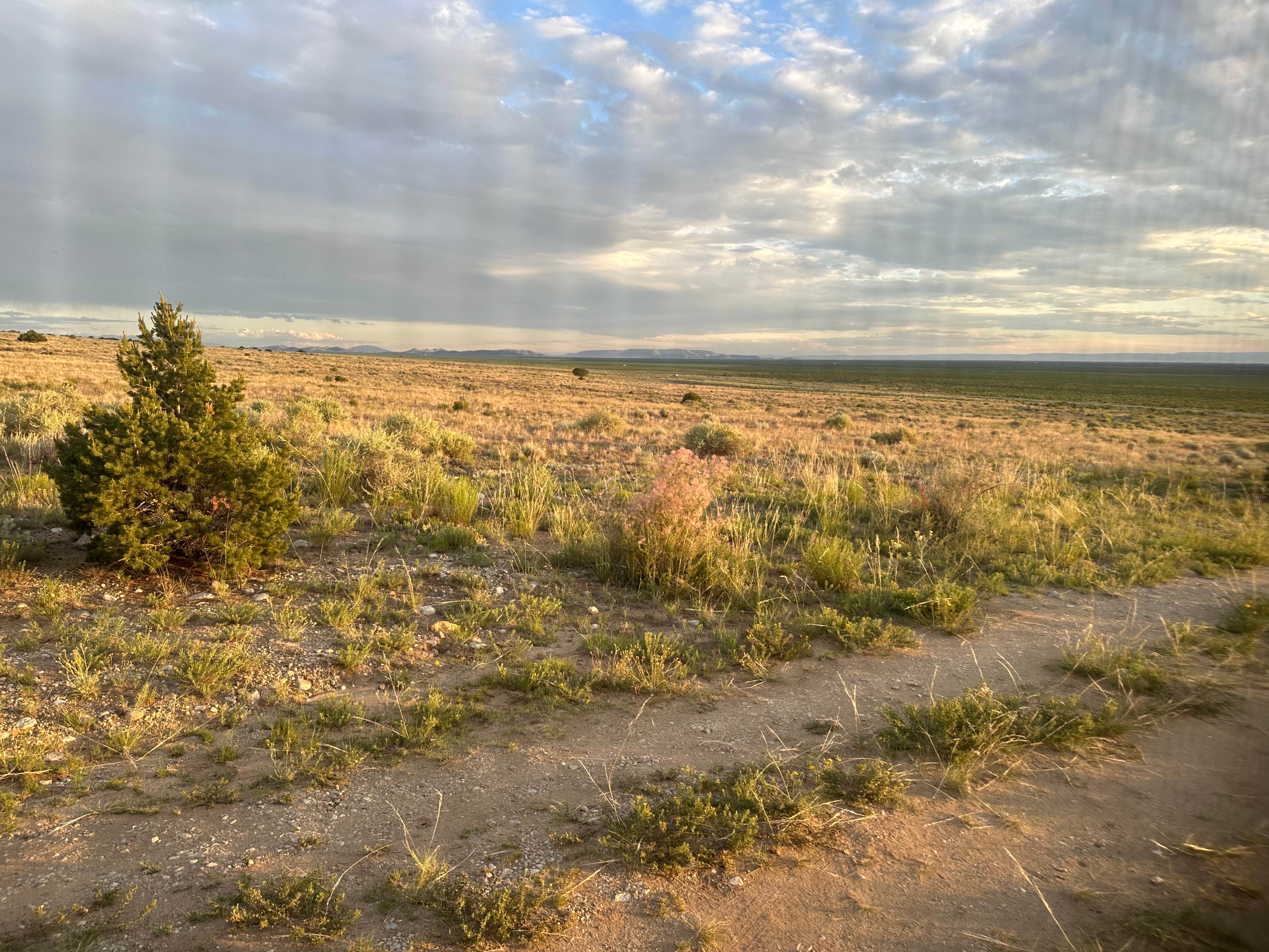 Camper submitted image from BLM Near Great Sand Dunes Hwy 150 - 1