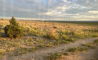 Desiree C.'s photo of a dispersed camping area at BLM Near Great Sand Dunes Hwy 150 near La Jara, CO