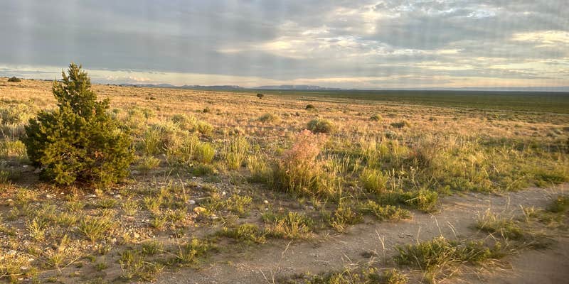 Camper submitted image from BLM Near Great Sand Dunes Hwy 150
