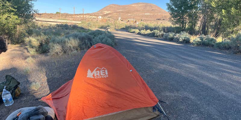 Camper submitted image from BLM next to Truckee River, in Mustang