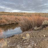 Review photo of BLM next to Truckee River, in Mustang by Joe K., December 17, 2024