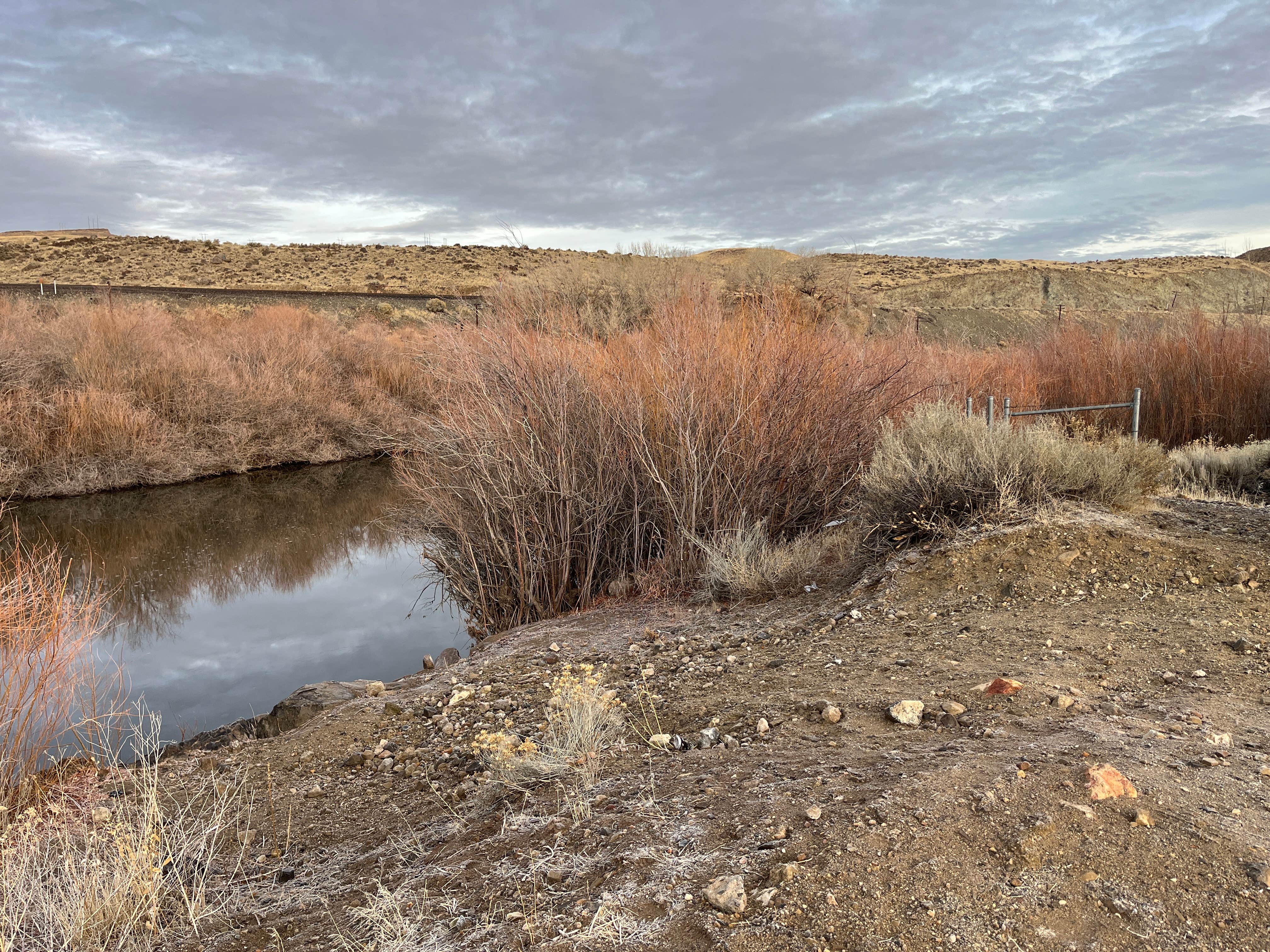 Camper submitted image from BLM next to Truckee River, in Mustang - 1