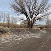 Review photo of BLM next to Truckee River, in Mustang by Joe K., December 17, 2024