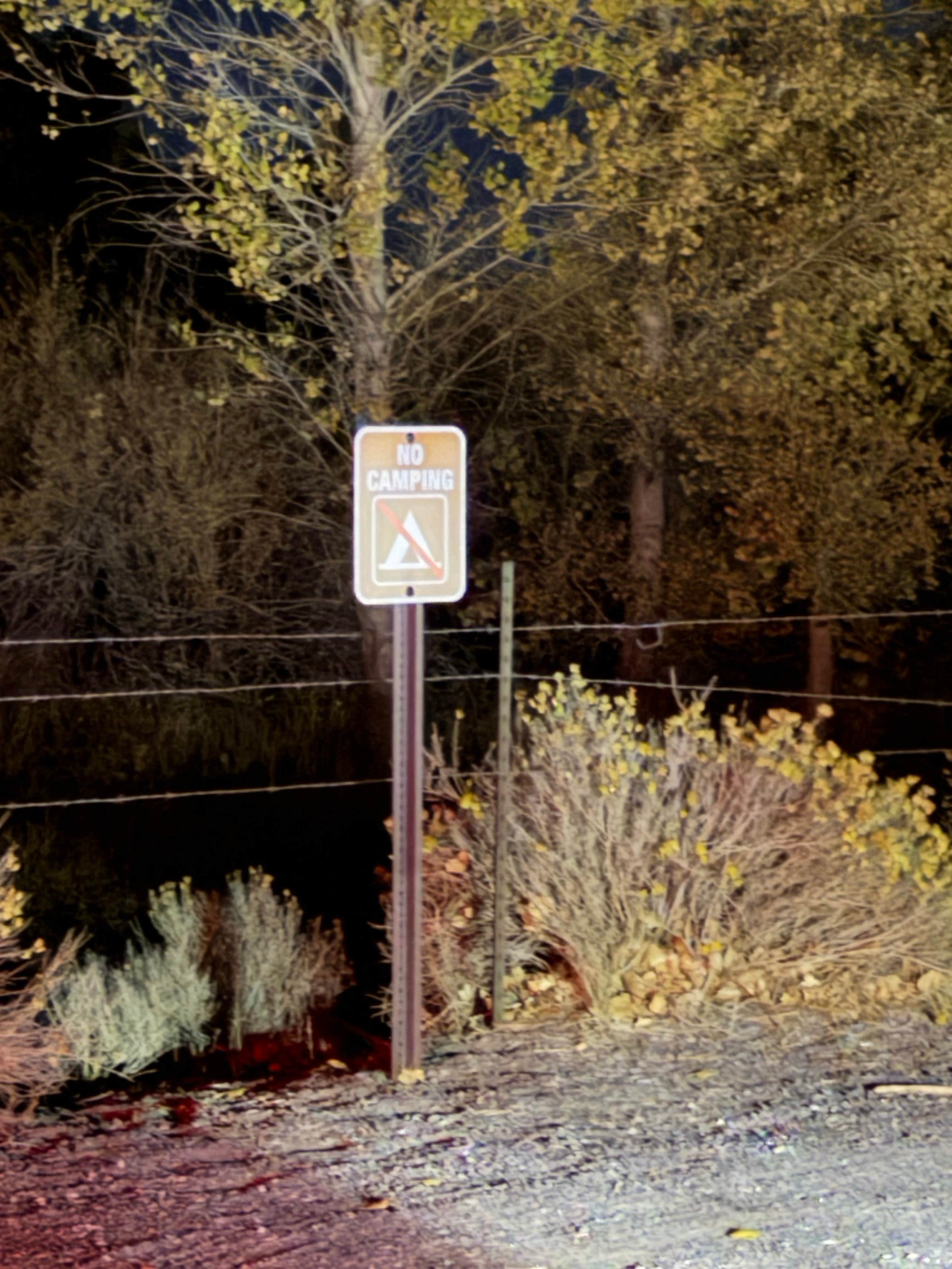 Camper submitted image from BLM next to Truckee River, in Mustang - 5