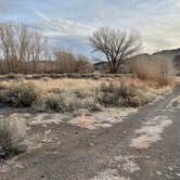 Review photo of BLM next to Truckee River, in Mustang by Joe K., December 17, 2024