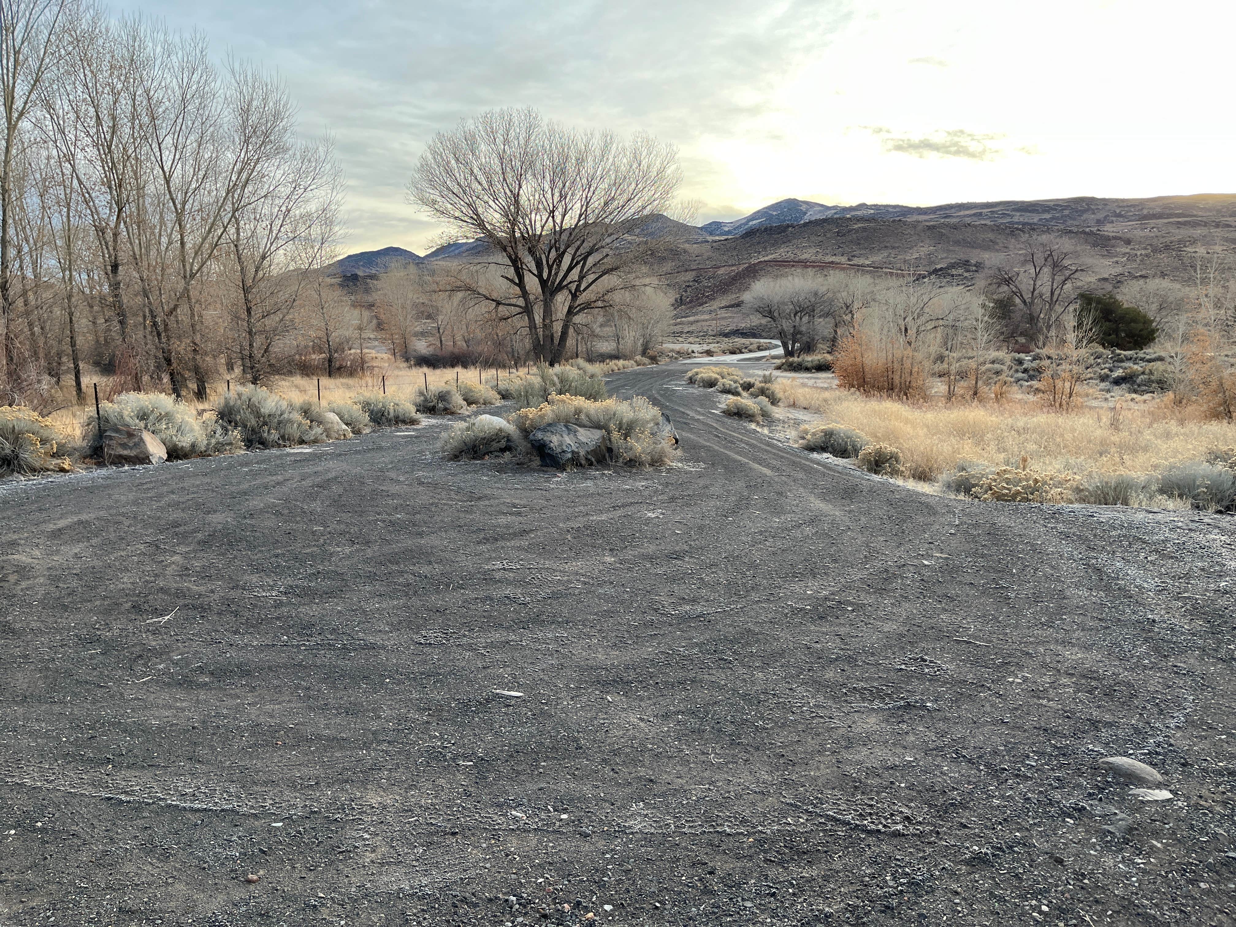 Camper-submitted photo at BLM next to Truckee River, in Mustang near Fernley, NV