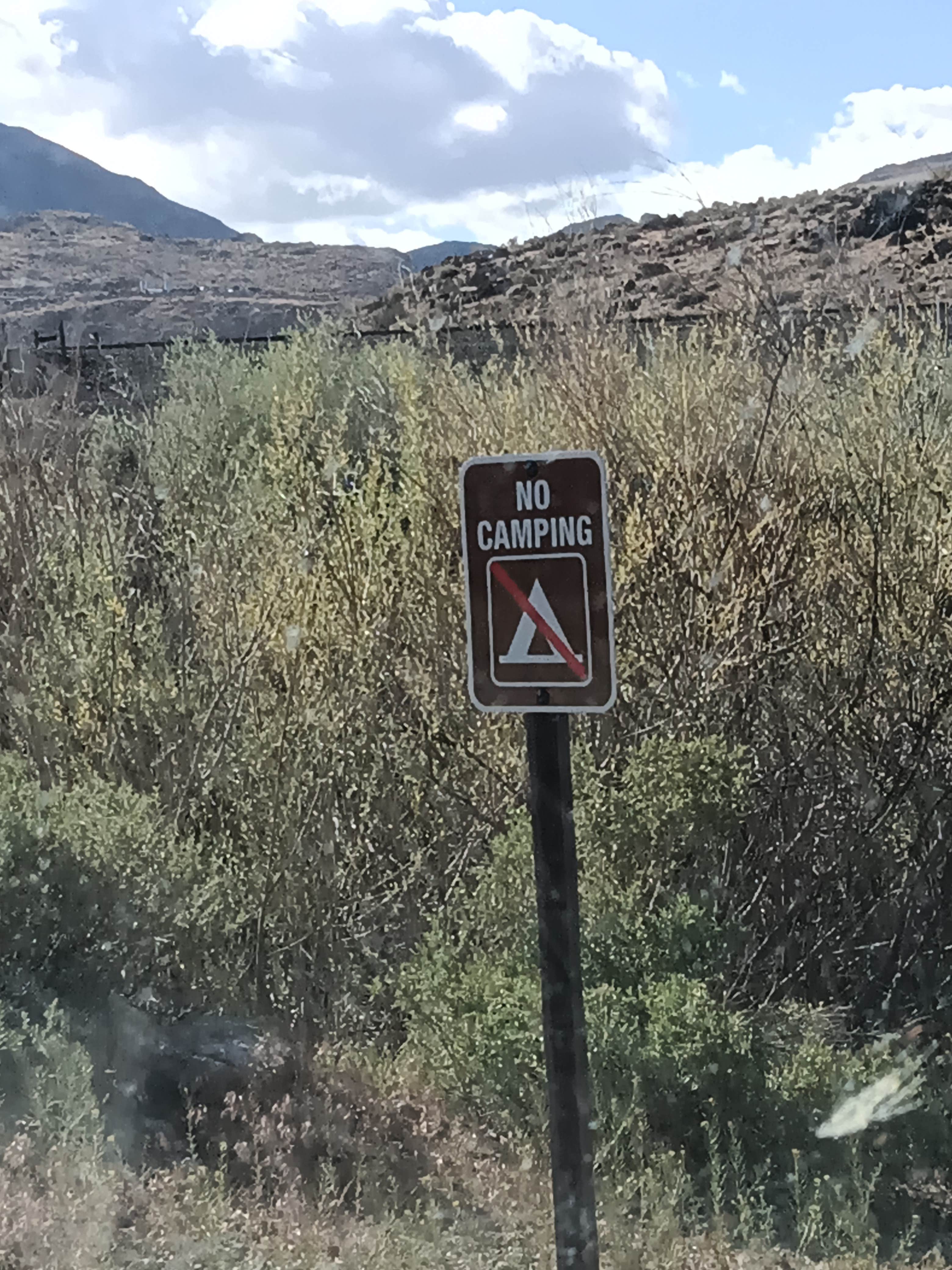 Camper-submitted photo at BLM next to Truckee River, in Mustang near Sparks, NV