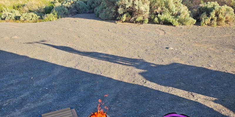 Camper submitted image from BLM next to Truckee River, in Mustang