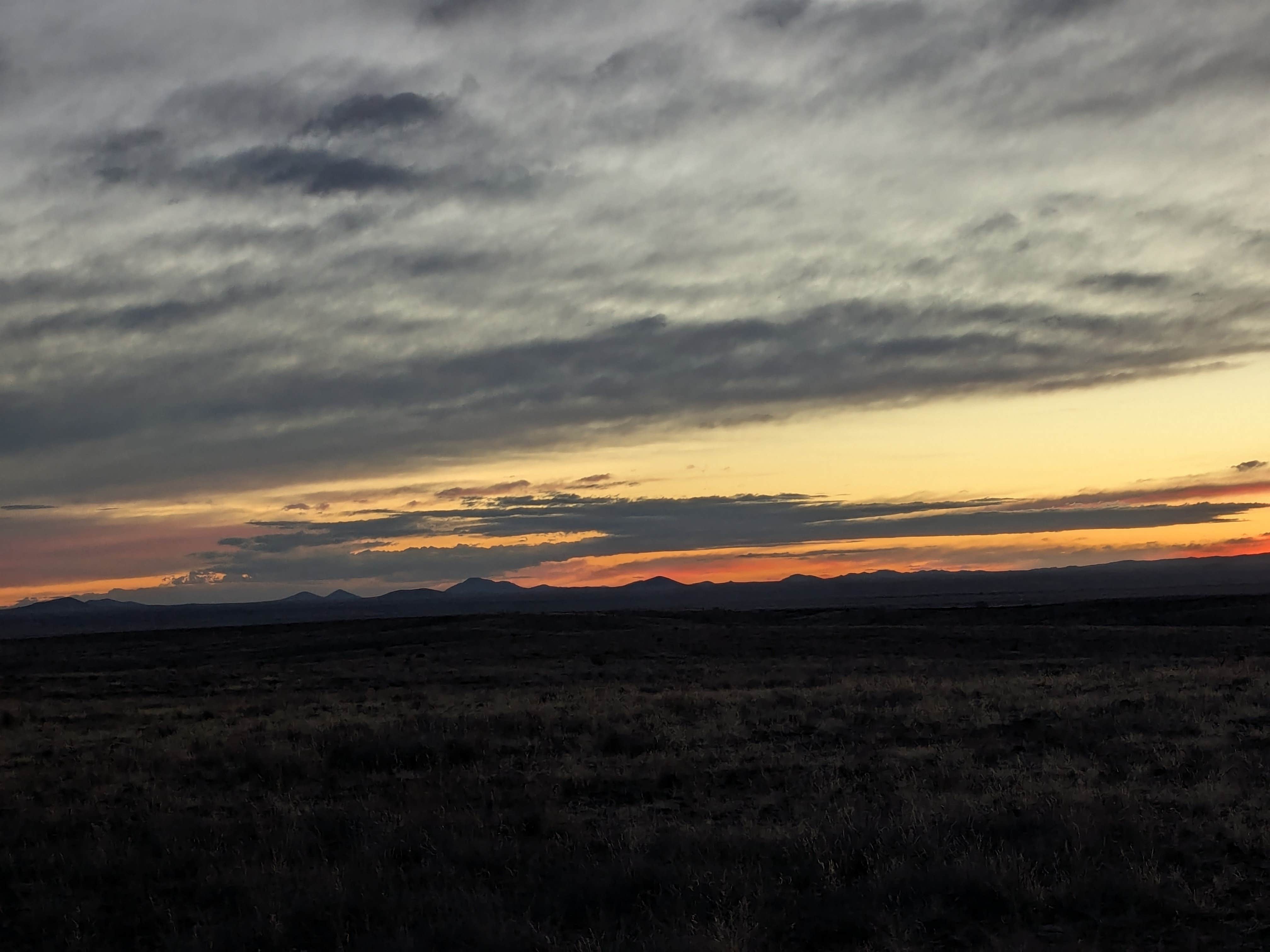Camper-submitted photo at BLM Near City of Rocks near Deming, NM