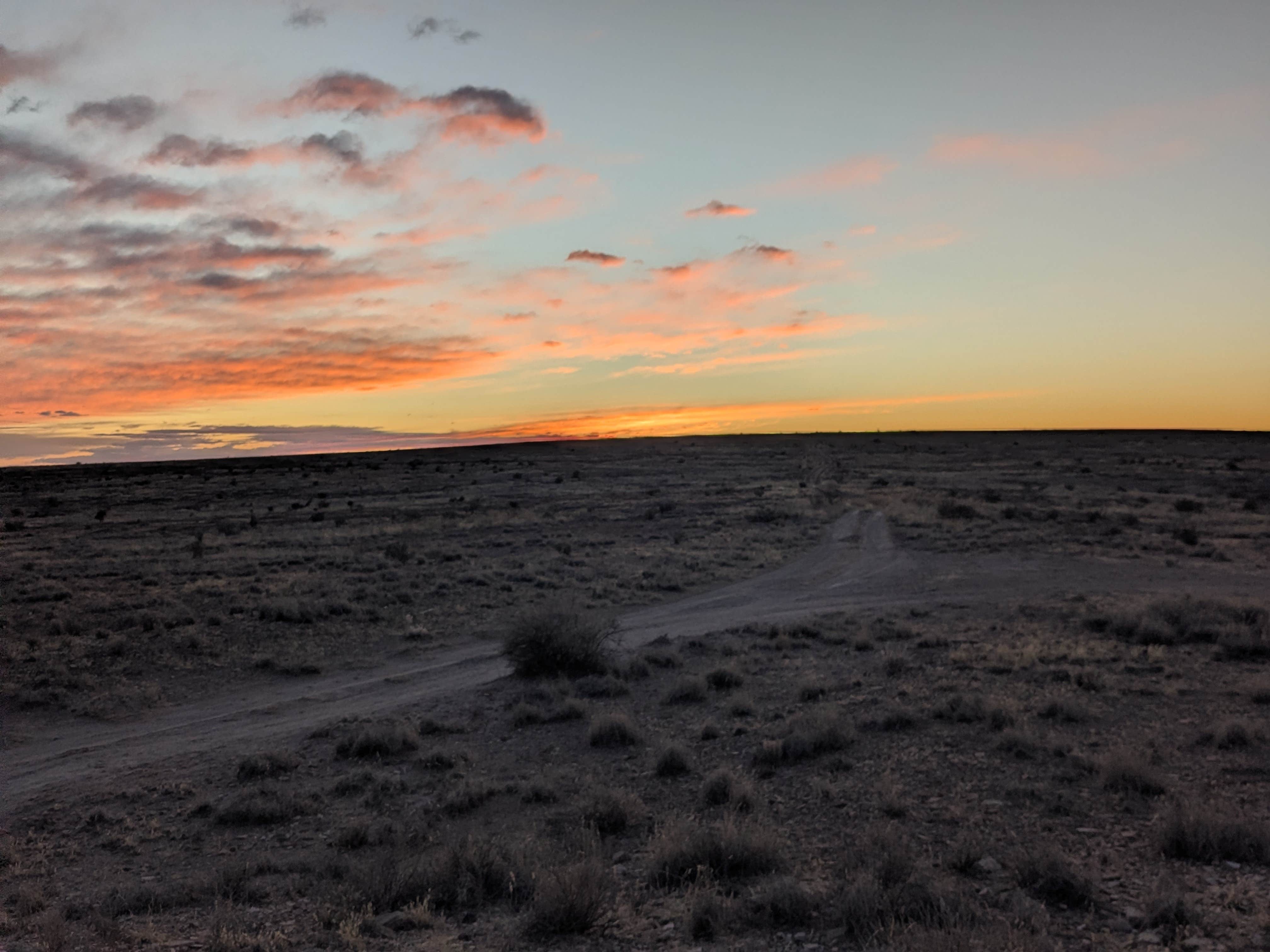 Camper-submitted photo at BLM Near City of Rocks near Deming, NM