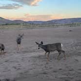 Review photo of BLM North Sand Hills Campground by Maya G., September 17, 2024