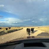 Review photo of BLM North Sand Hills Campground by Maya G., September 17, 2024