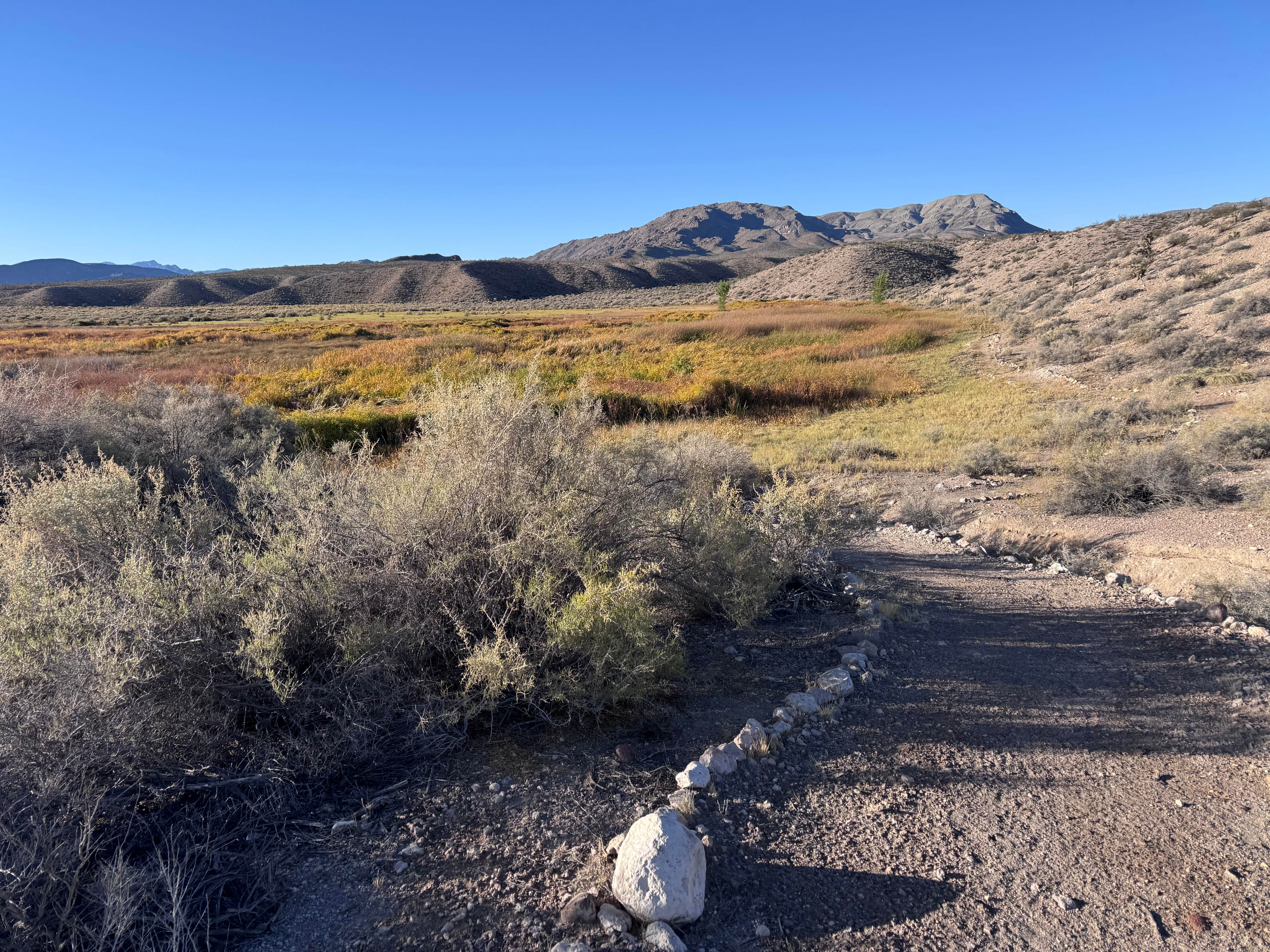 Camper-submitted photo at Upper Lake Road BLM Campsite near Humboldt-Toiyabe National Forest Headquarters