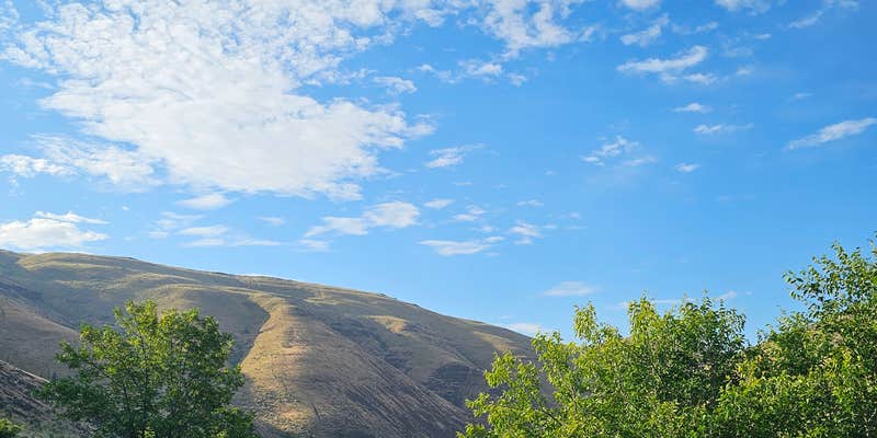 Camper submitted image from Oak Springs Campground