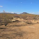 Review photo of BLM off of W Valencia Rd | Wild Camping by Kathy S., May 7, 2025