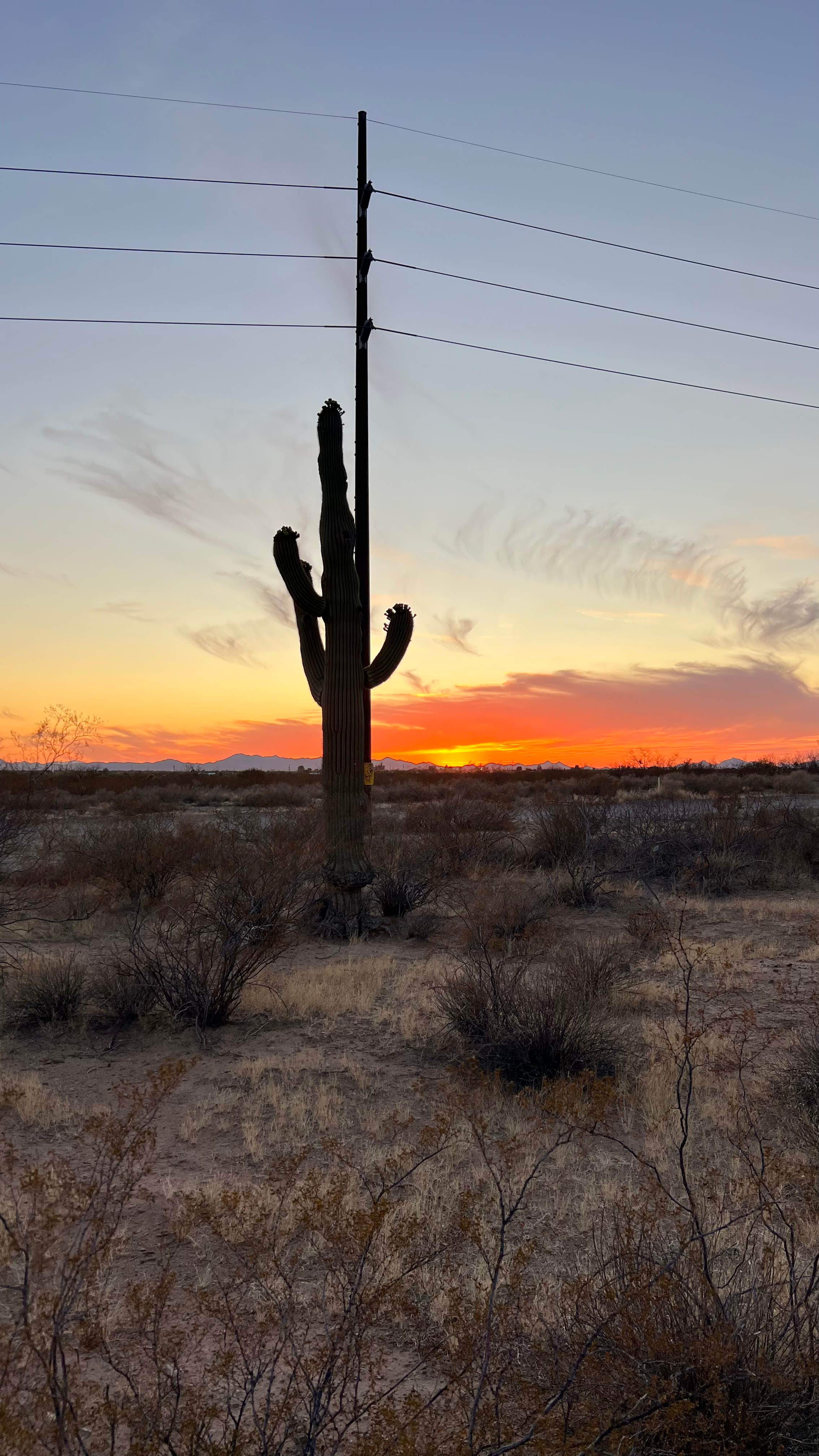 Camper submitted image from BLM off of W Valencia Rd | Wild Camping - 4
