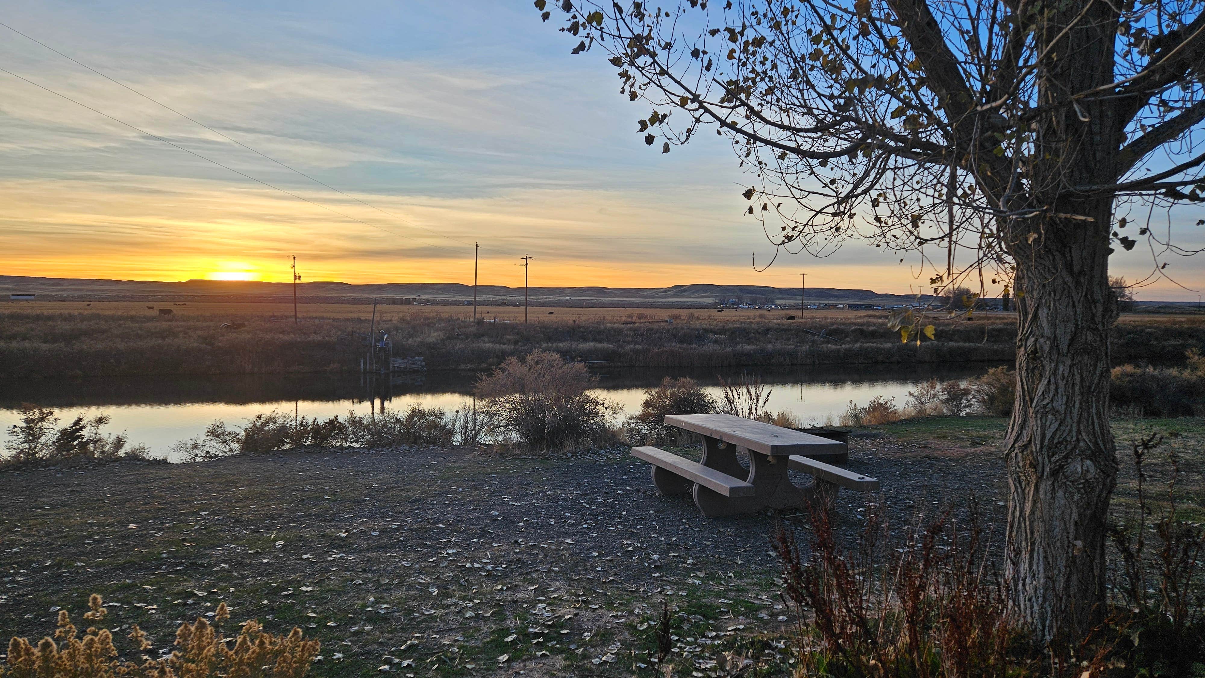 Camper submitted image from BLM Owyhee Wild and Scenic River - 1