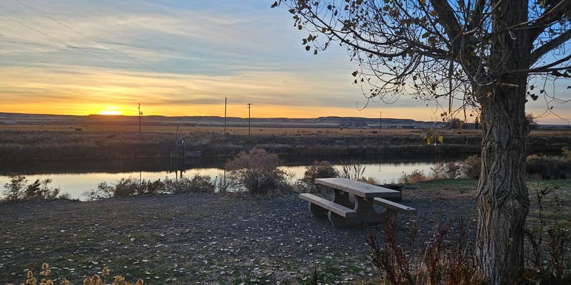 Camper submitted image from BLM Owyhee Wild and Scenic River