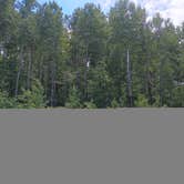 Review photo of Paul Bunyan State Forest Dispersed by Glen B., June 22, 2026