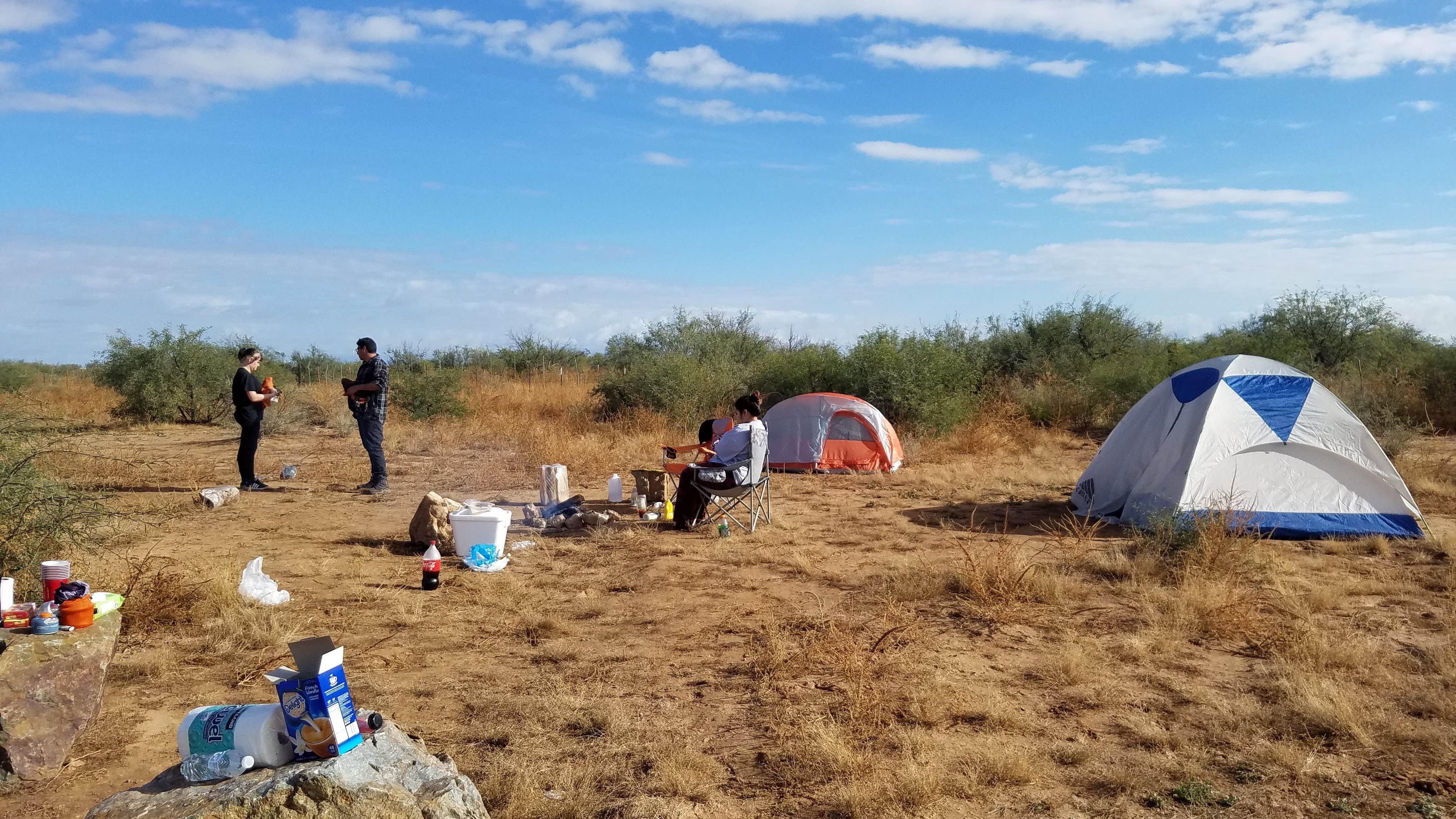 Sue B.'s photo of camping with pets at BLM Ironwood Forest National Monument - Pipeline Rd Dispersed camping near Casa Grande, AZ