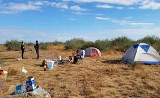 Sue B.'s photo of camping with pets at BLM Ironwood Forest National Monument - Pipeline Rd Dispersed camping near Arizona City, AZ