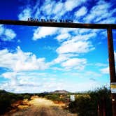 Review photo of BLM Ironwood Forest National Monument - Pipeline Rd Dispersed camping by Sue B., April 11, 2026