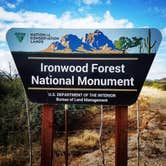 Review photo of BLM Ironwood Forest National Monument - Pipeline Rd Dispersed camping by Sue B., April 11, 2026