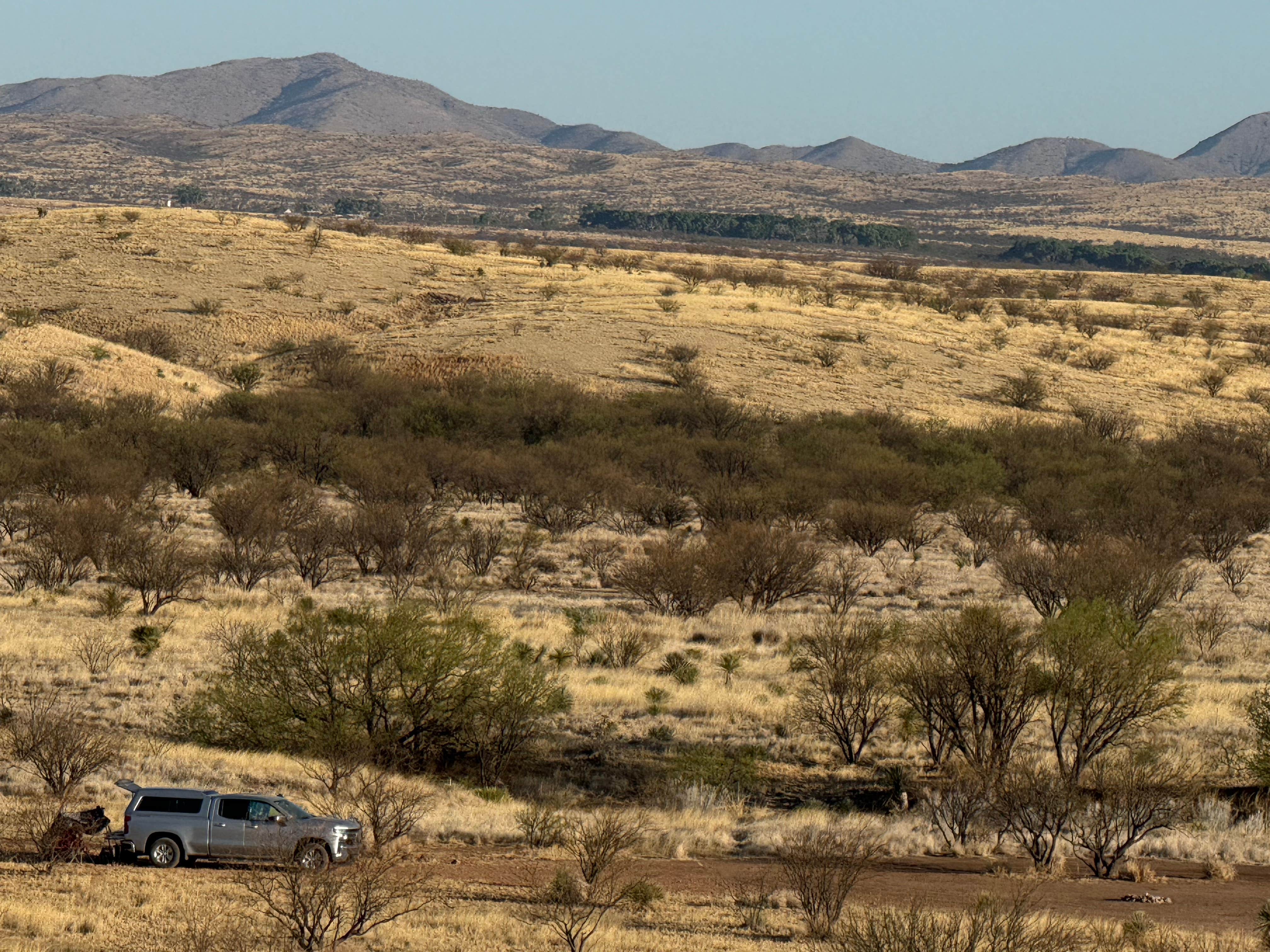 Camper-submitted photo at Road Canyon Camping Area near Sonoita, AZ