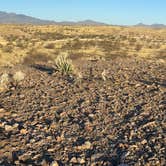 Review photo of Road Canyon Camping Area by David S., April 29, 2025