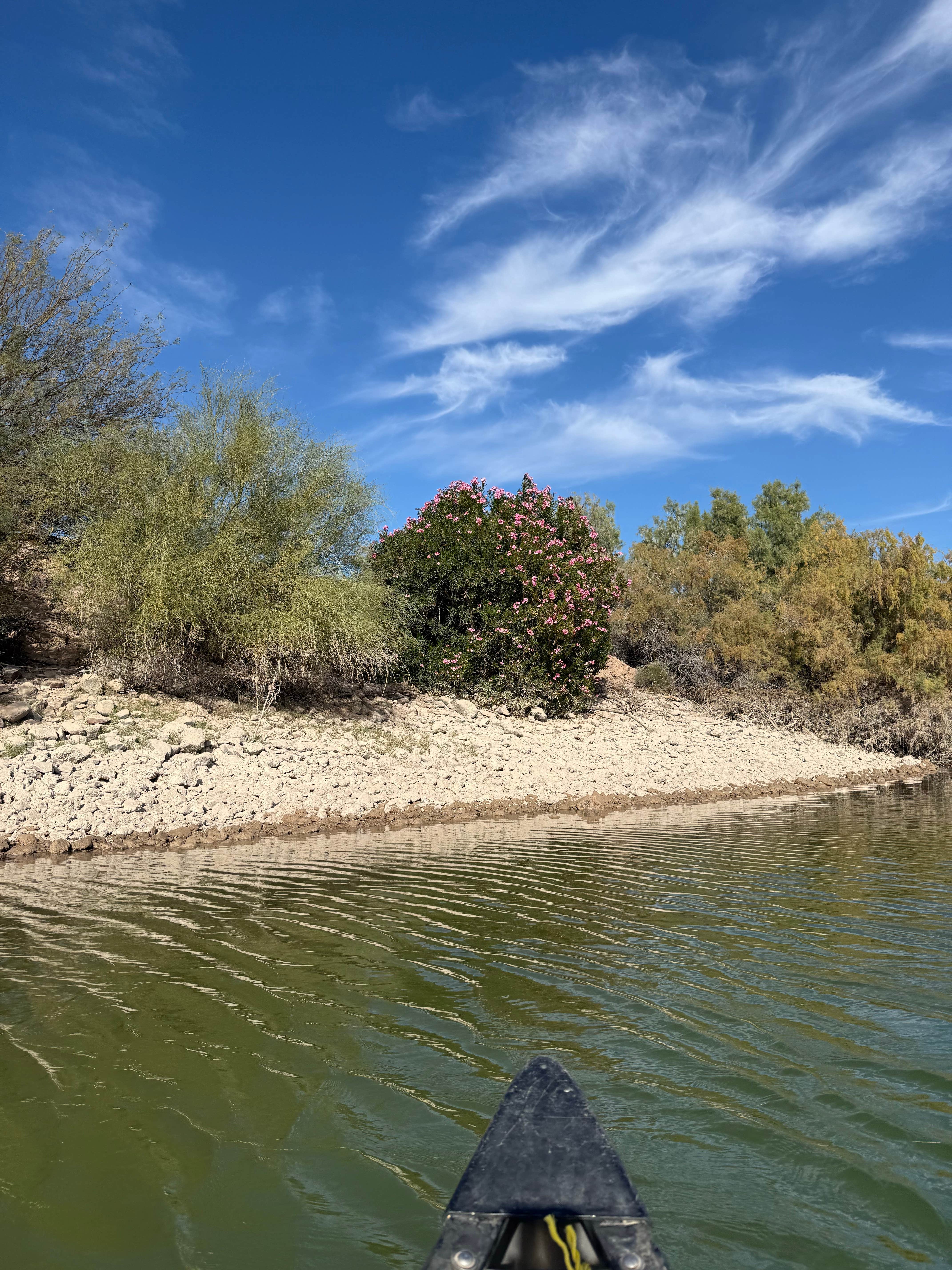 Camper-submitted photo at BLM Senator Wash Reservoir North Shore near Yuma, AZ