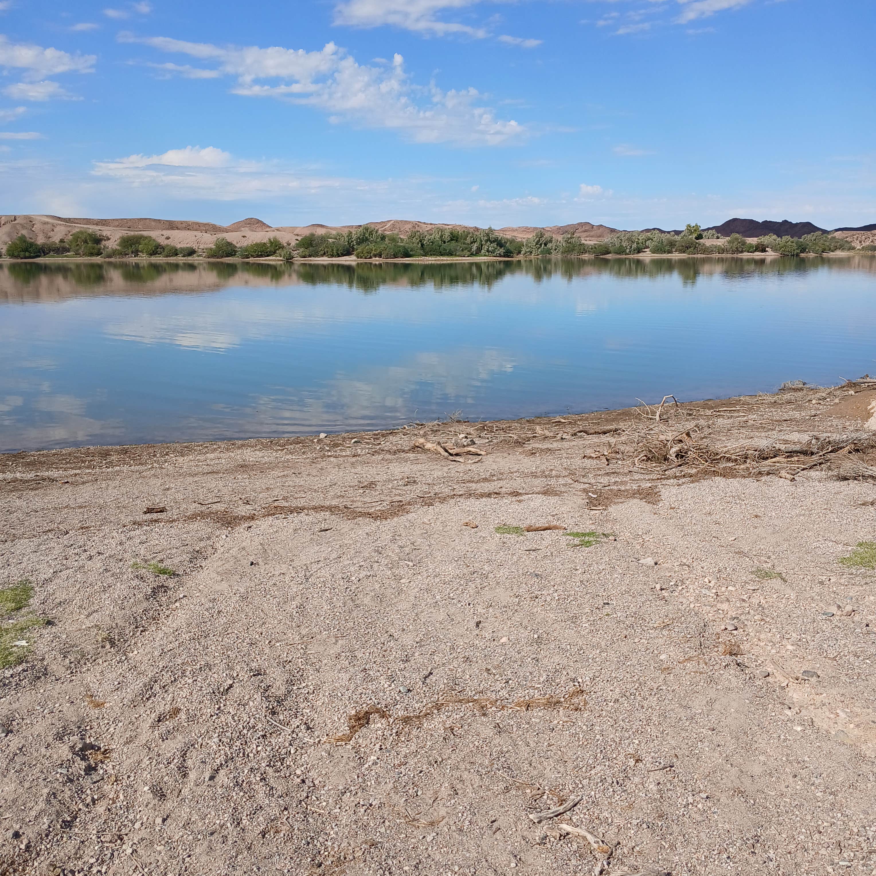 Camper-submitted photo at BLM Senator Wash Reservoir North Shore near Winterhaven, CA