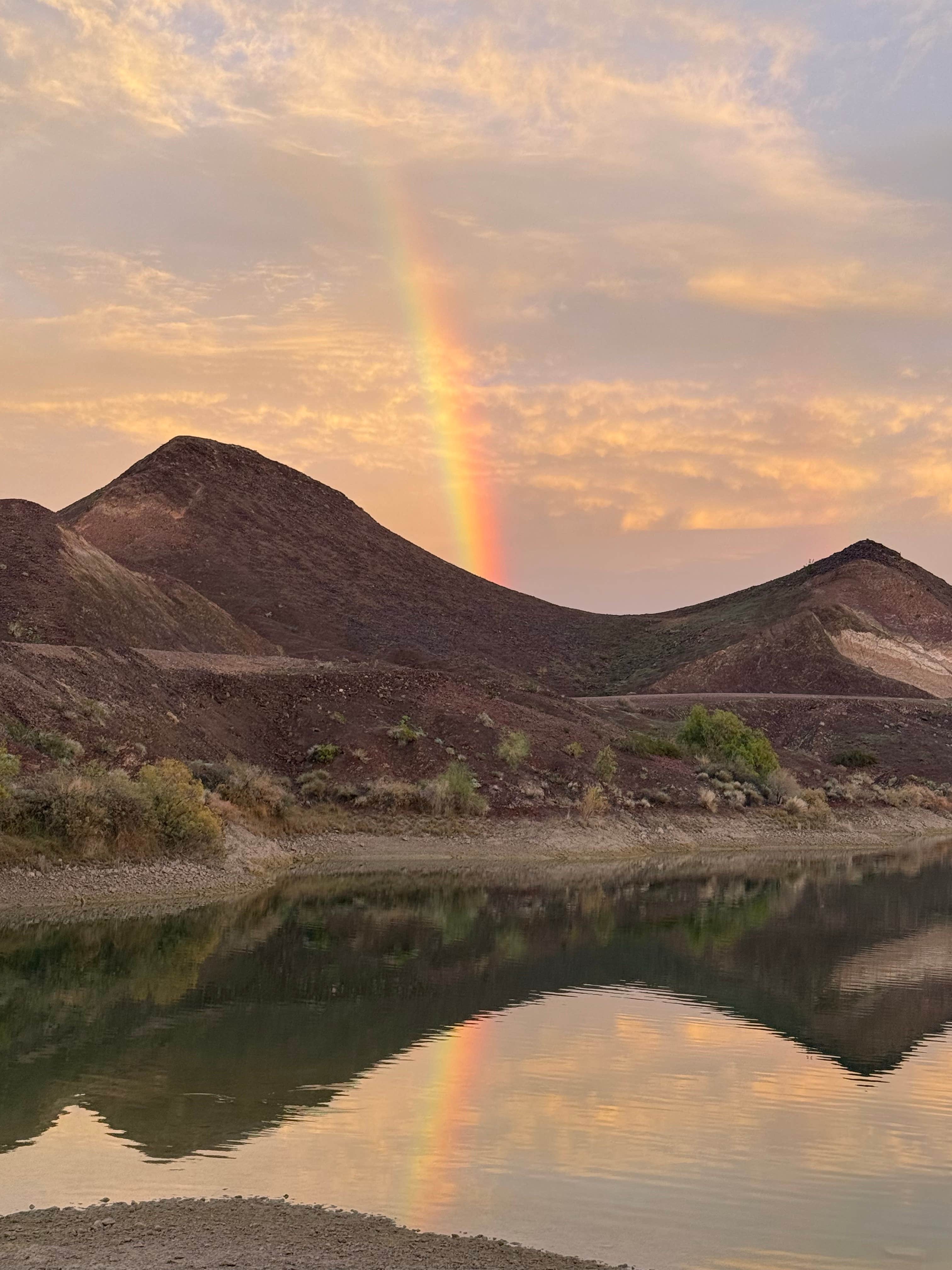 Brenda H.'s photo of a dispersed camping area at BLM Senator Wash Reservoir North Shore near Yuma, AZ