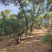 Review photo of BLM Sheldon Creek by Patricia Y., October 14, 2023