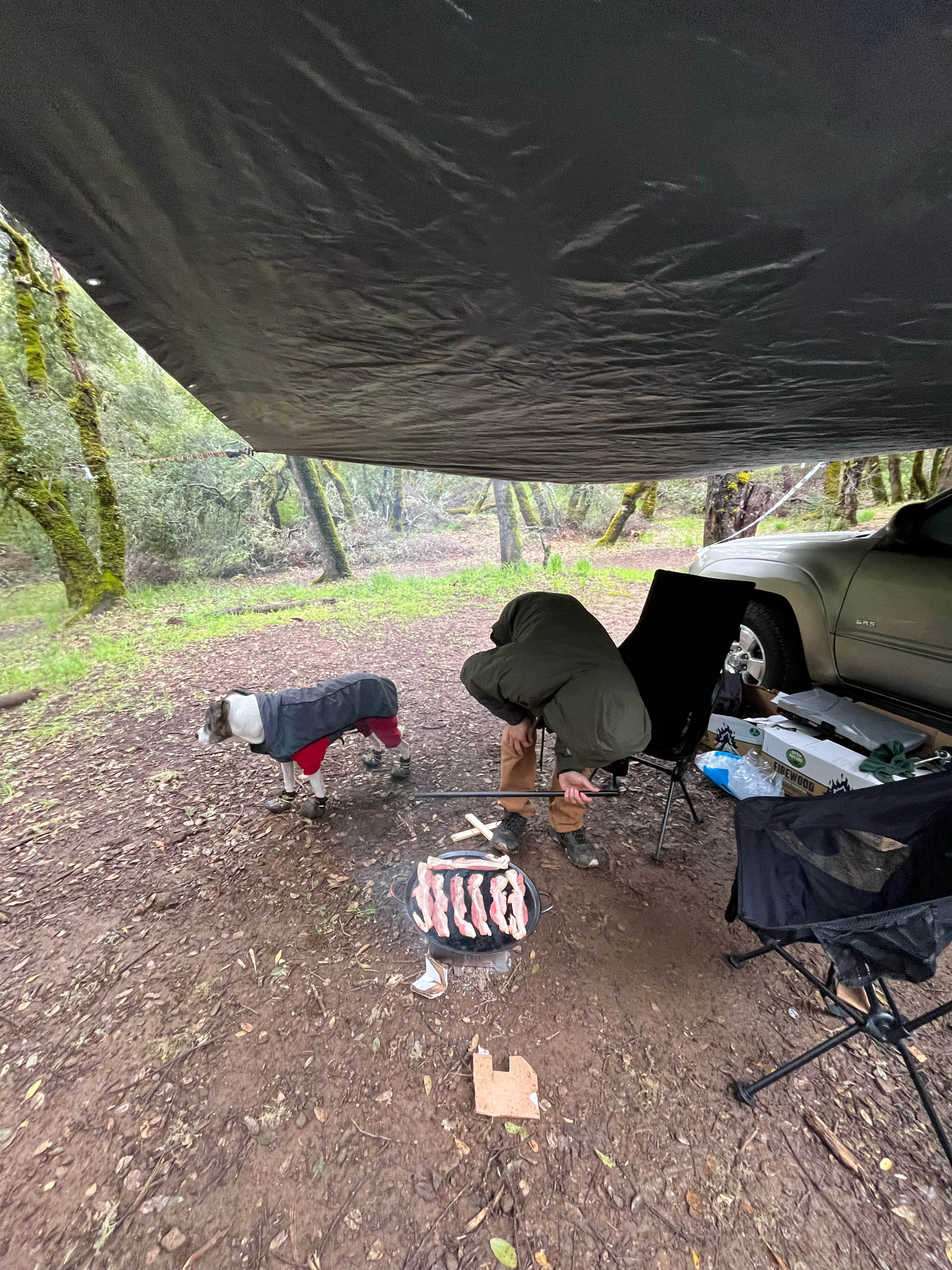 Camper-submitted photo at BLM Sheldon Creek near Lakeport, CA