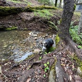Review photo of BLM Sheldon Creek by iliana A., April 14, 2024