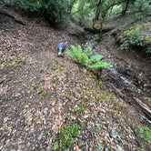 Review photo of BLM Sheldon Creek by iliana A., April 14, 2024