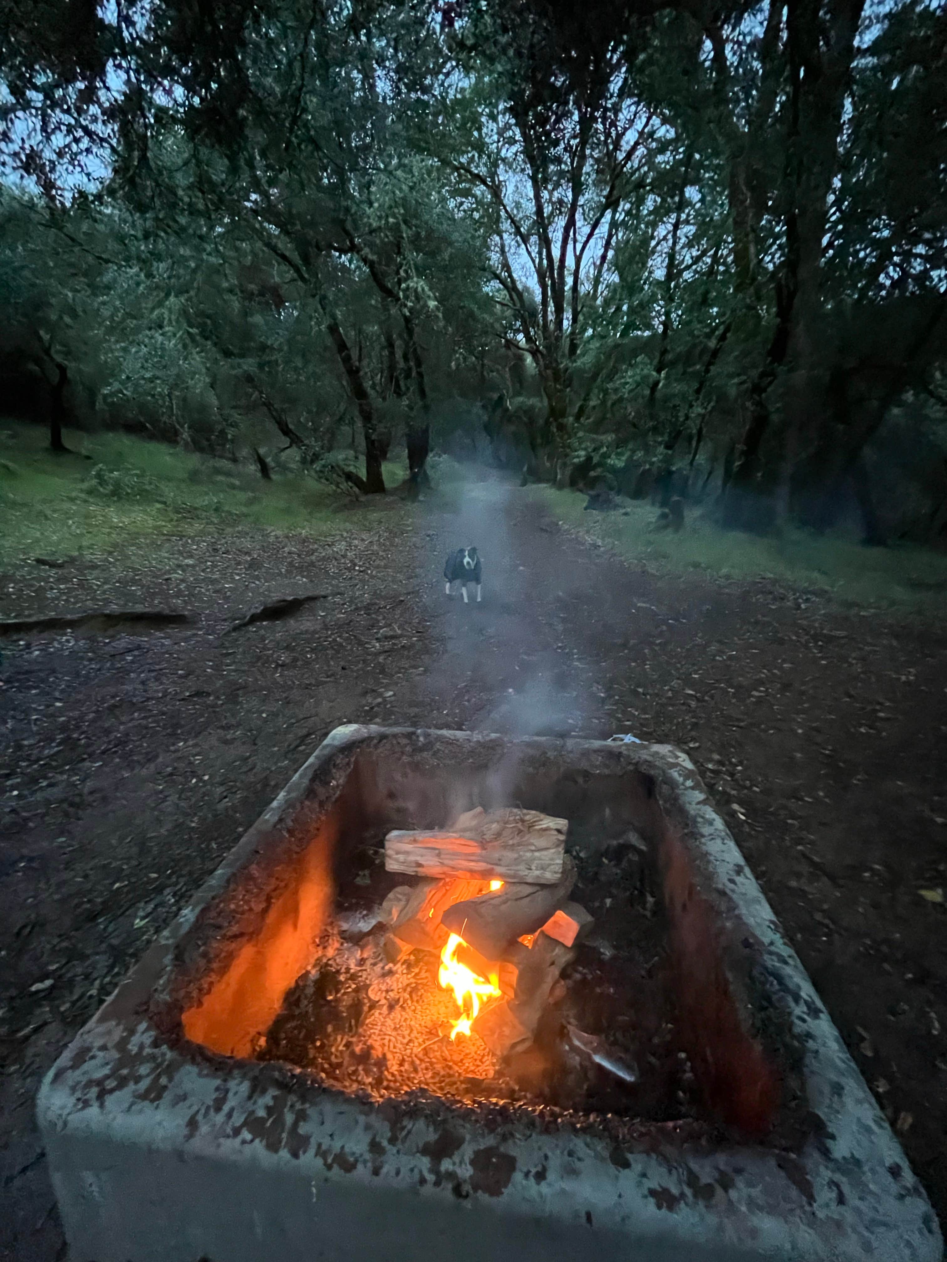 Camper submitted image from BLM Sheldon Creek - 1