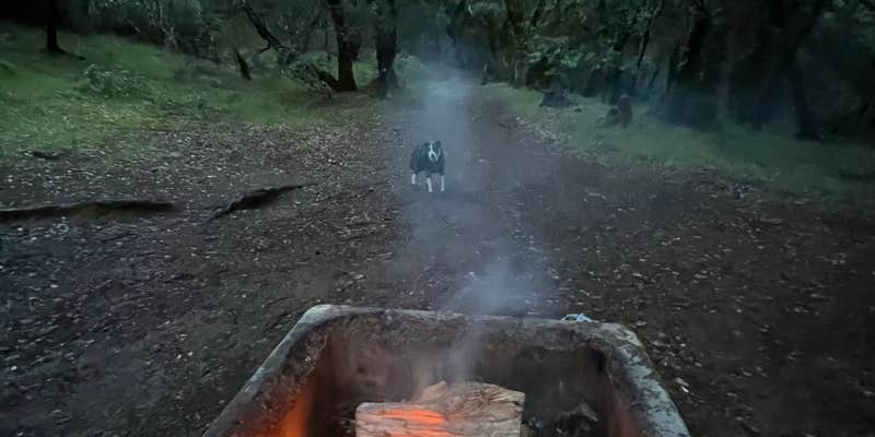 Camper submitted image from BLM Sheldon Creek