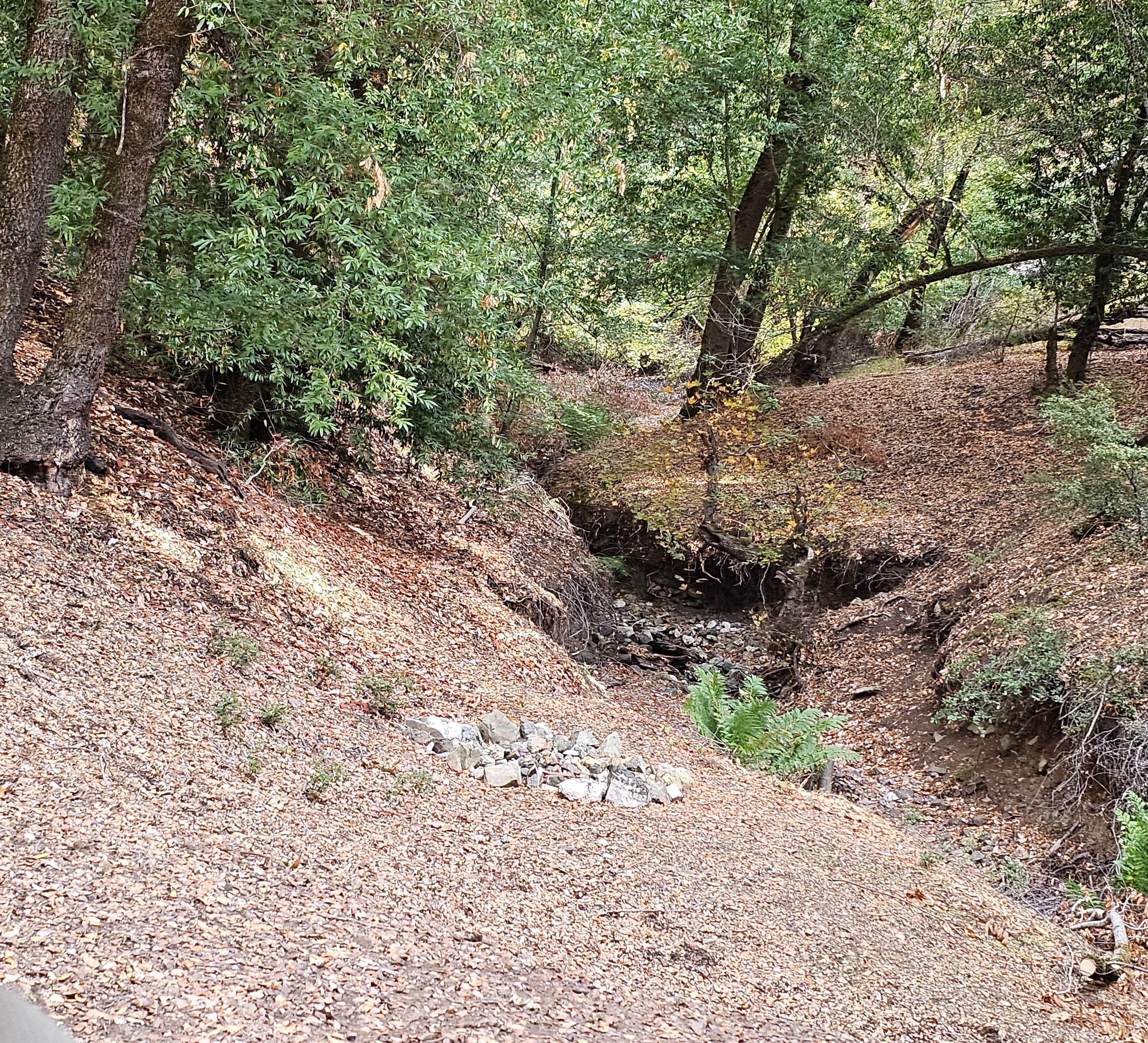 Camper submitted image from BLM Sheldon Creek - 5