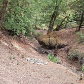 Review photo of BLM Sheldon Creek by Patricia Y., October 14, 2023