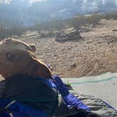 Review photo of BLM Sonoran Desert National Monument - Vekol Road Dispersed Camping Area by Danny T., January 24, 2024