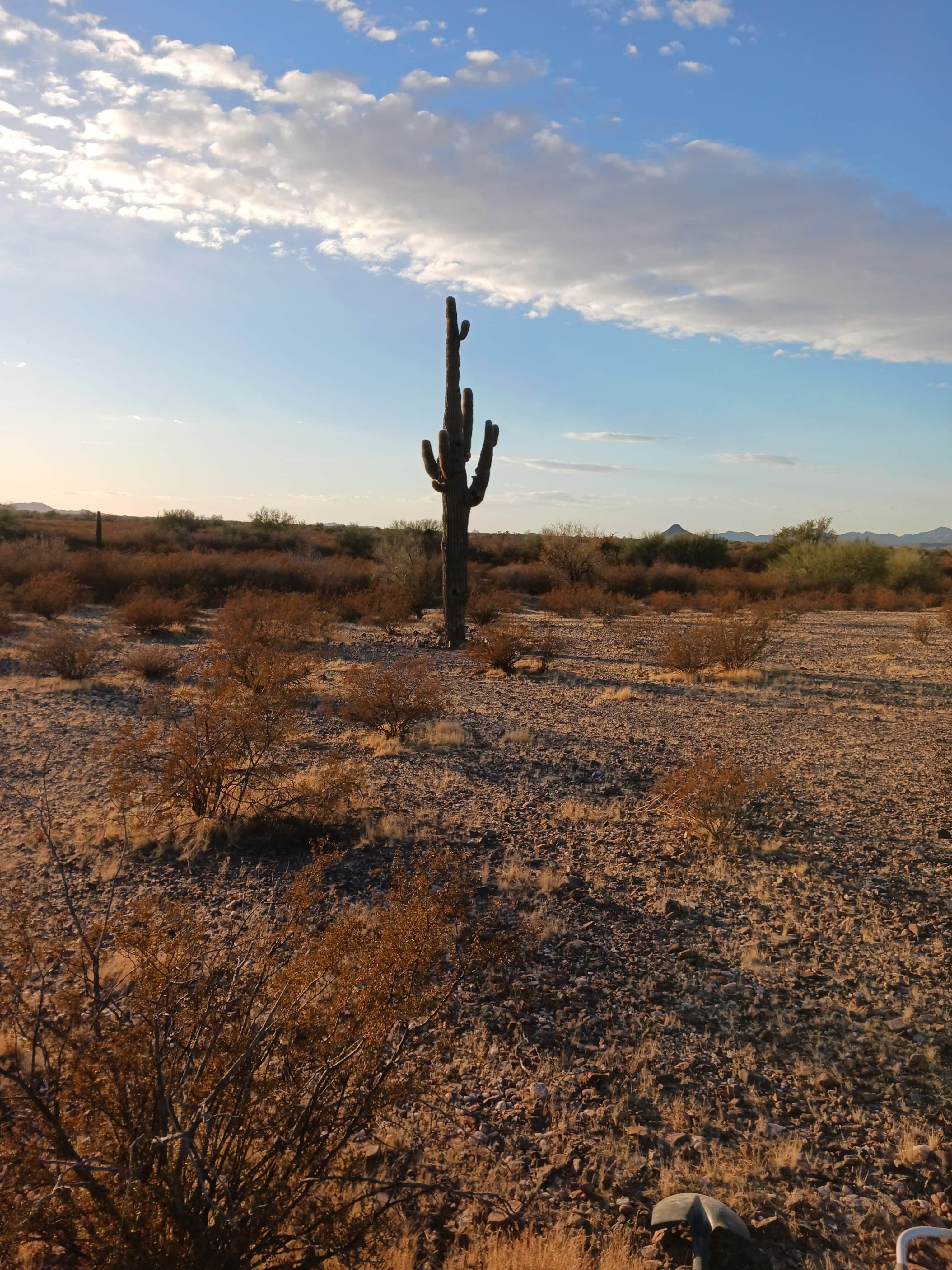 Camper-submitted photo at BLM Sonoran Desert National Monument - Vekol Road Dispersed Camping Area near Chandler, AZ