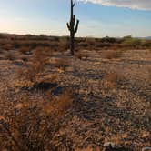 Review photo of BLM Sonoran Desert National Monument - Vekol Road Dispersed Camping Area by Kevin C., January 10, 2025