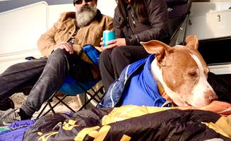 Danny T.'s photo of camping with pets at BLM Sonoran Desert National Monument - Vekol Road Dispersed Camping Area near Ajo, AZ