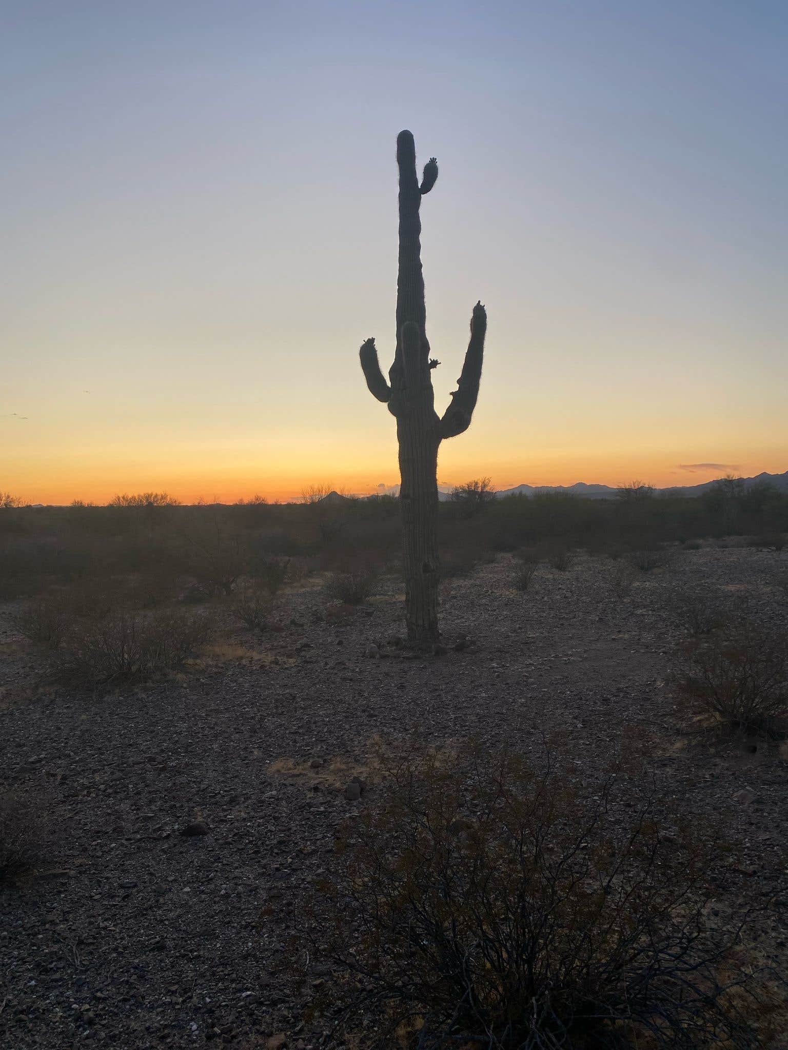 Camper-submitted photo at BLM Sonoran Desert National Monument - Vekol Road Dispersed Camping Area near Chandler, AZ