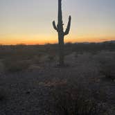 Review photo of BLM Sonoran Desert National Monument - Vekol Road Dispersed Camping Area by Peter L., May 3, 2025