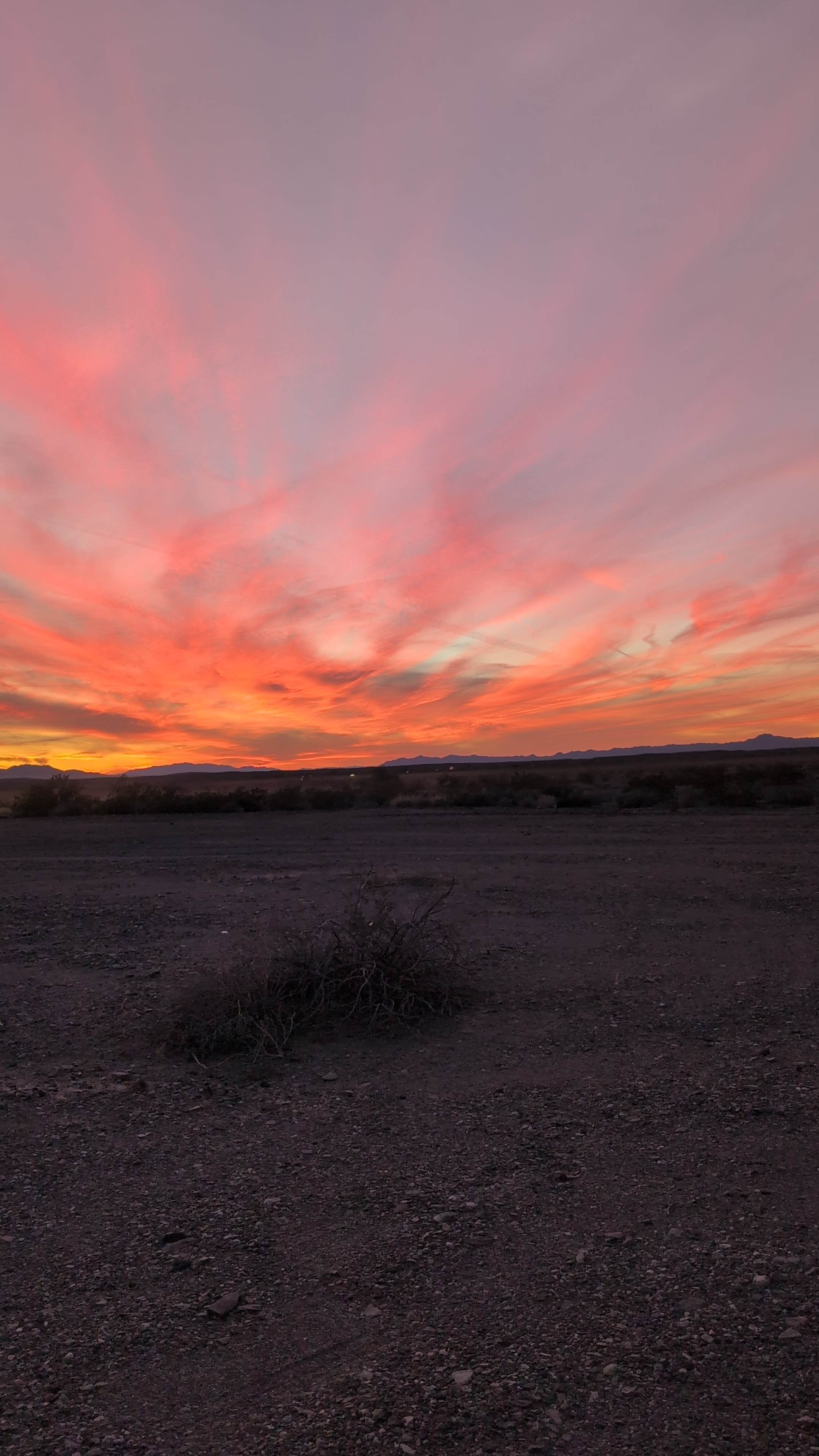 Camper-submitted photo at BLM dispersed camping spur at MP 133.8 near Lake Havasu City, AZ